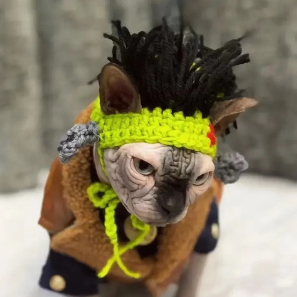 Costume Reggae Punk Rock Crochet Wig Hat for Small Pet Dog Cat (M)